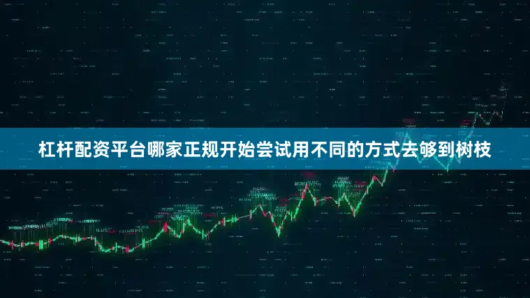 杠杆配资平台哪家正规开始尝试用不同的方式去够到树枝