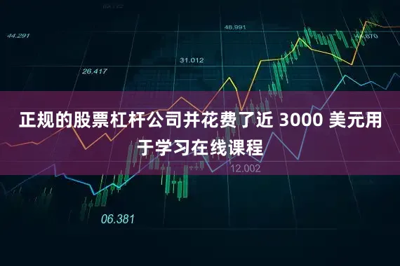 正规的股票杠杆公司并花费了近 3000 美元用于学习在线课程