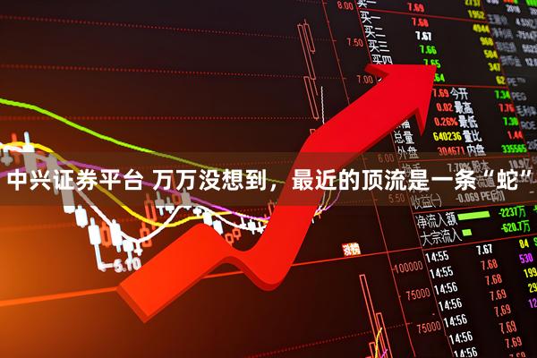 中兴证券平台 万万没想到，最近的顶流是一条“蛇”